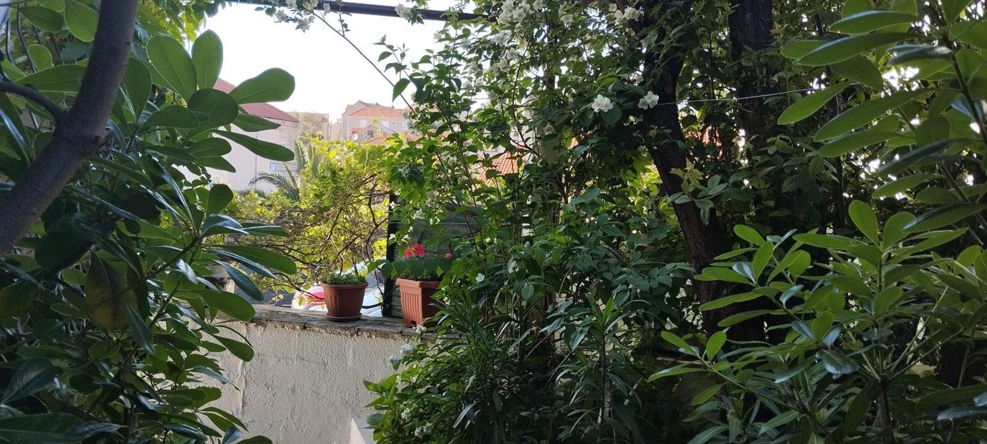 Apartman Maskaric Cavtat